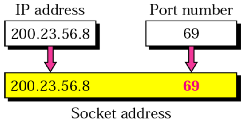 Port là gì