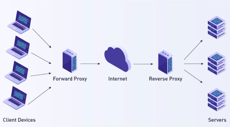 reverse proxy là gì