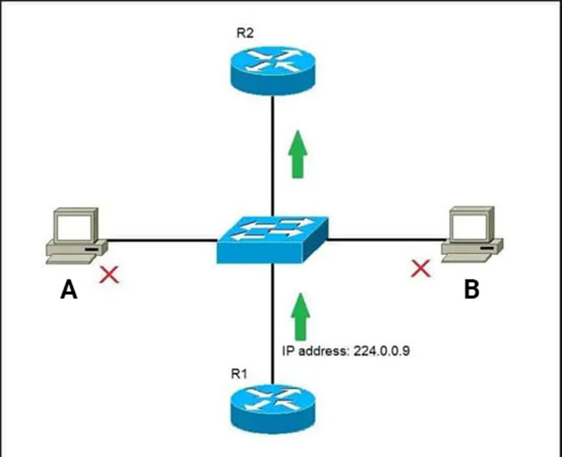 cấu trúc địa chỉ IP