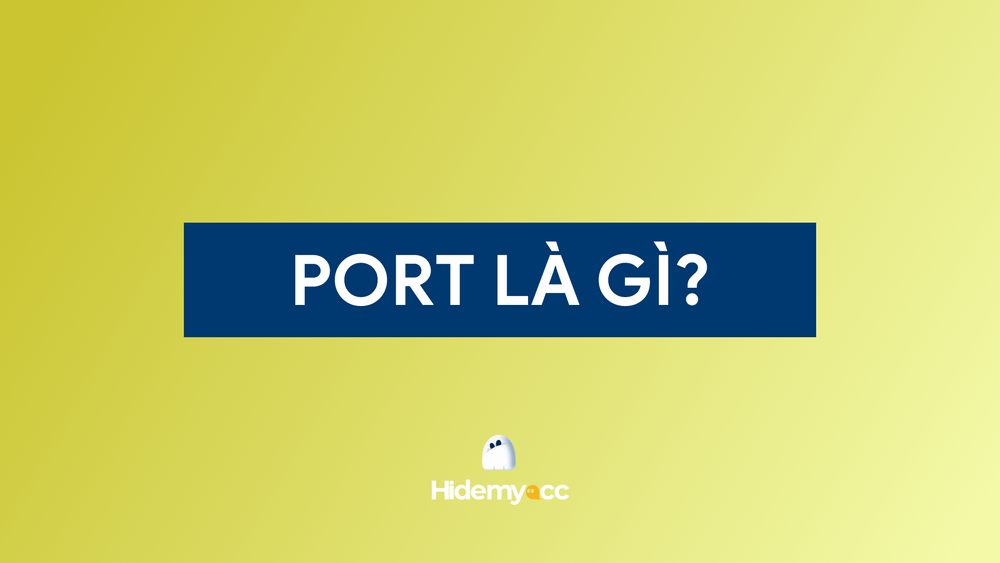 Cổng Port là gì? Chức năng và cách phân loại chính xác