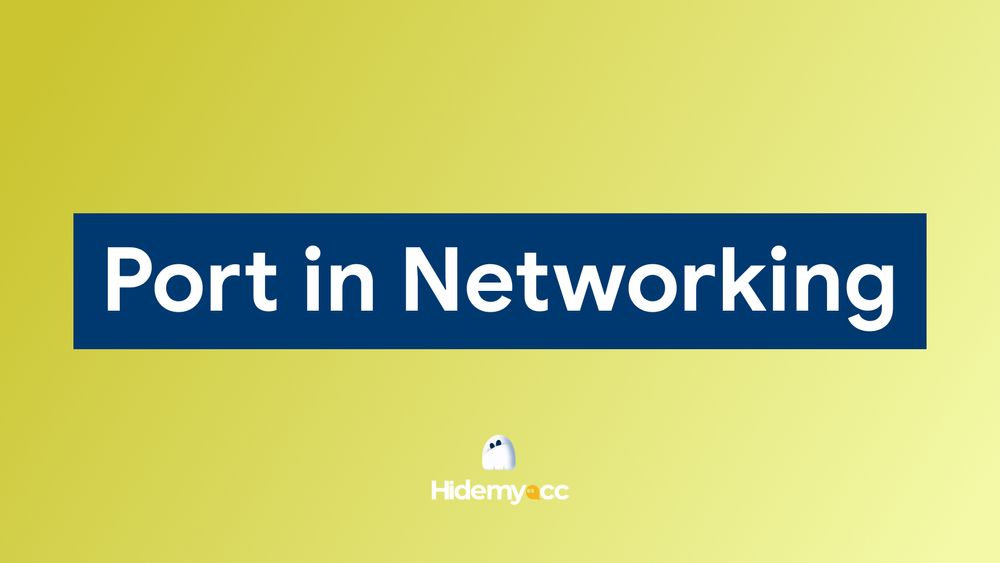 What is Port in networking? Functions and how to classify them correctly