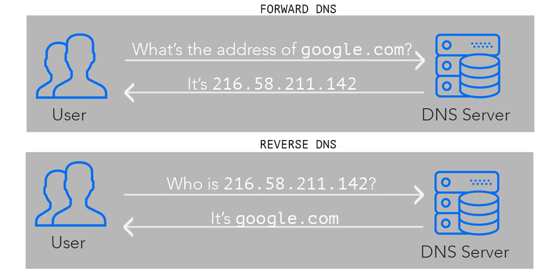 zone dns