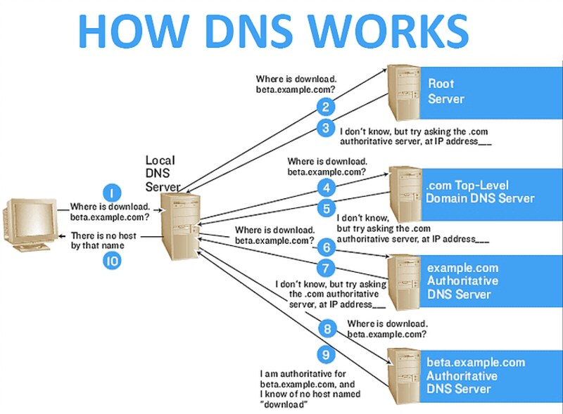 zone dns